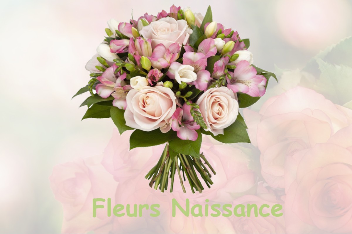 fleurs naissance FONTAN