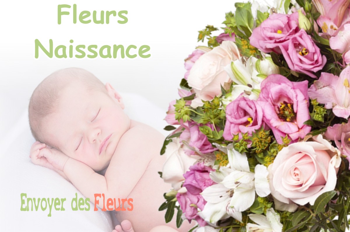 lIVRAISON FLEURS NAISSANCE à FONTAN